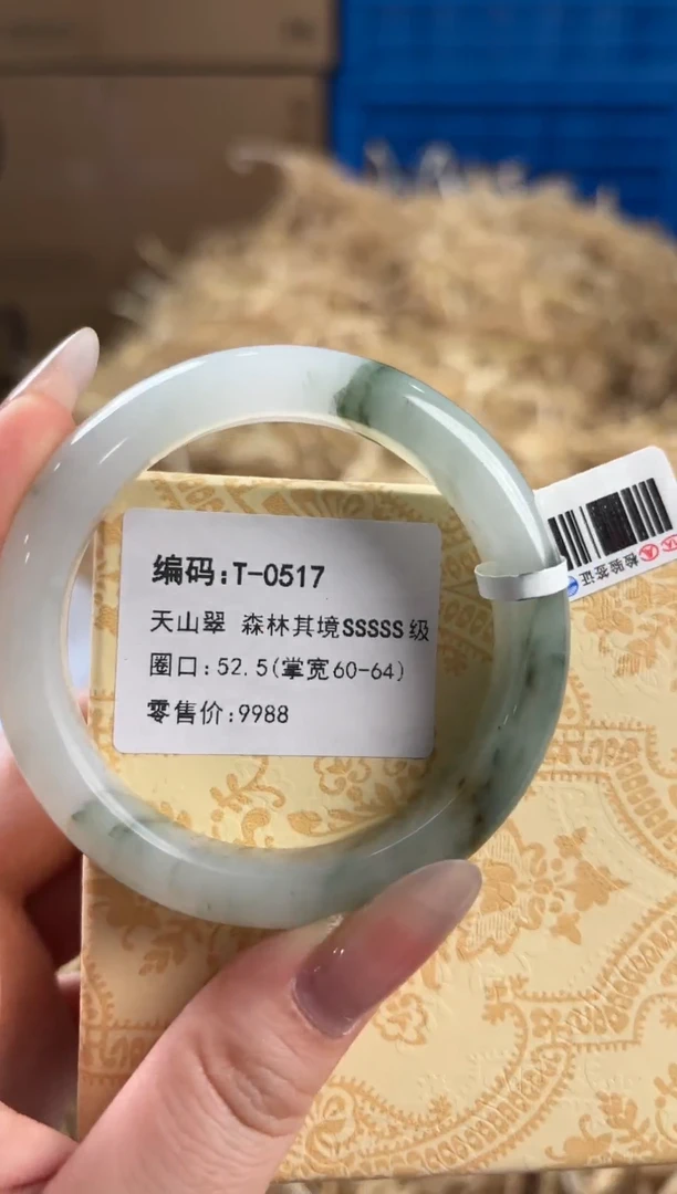 未镶嵌手镯石英质玉T-0517