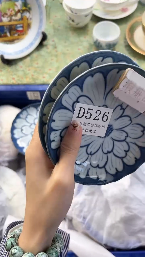 【闪购商品】瓷片          D526
