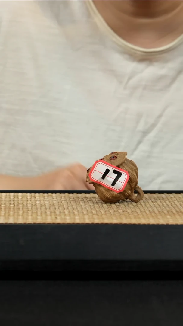 紫砂壶宜兴紫砂壶17