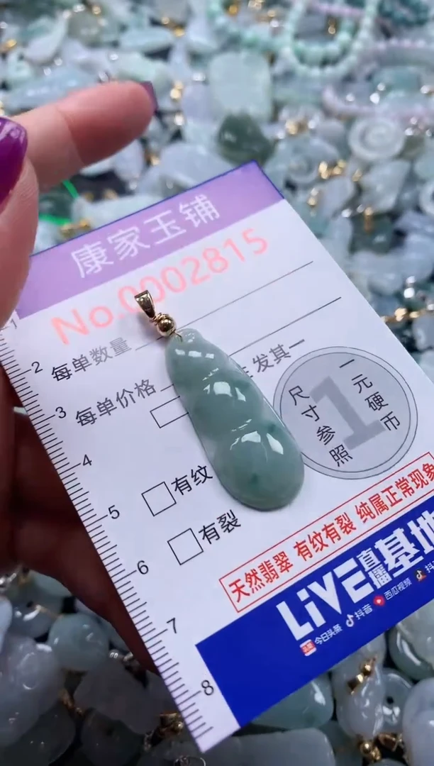 颈饰未镶嵌翡翠2815