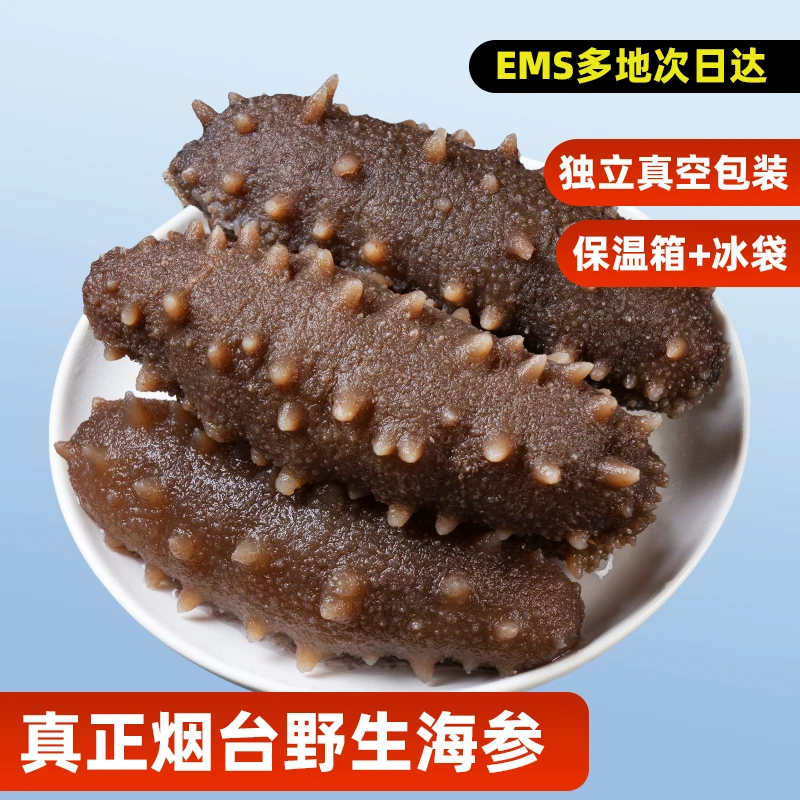 山东烟台鲜食海参即食海参海鲜独立包装