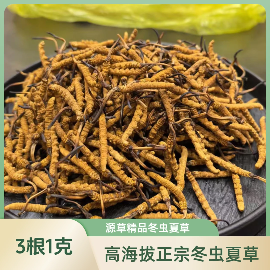 源草滋补专营店【3根一克】那曲玉树官方直营店 高海拔正宗冬虫夏草