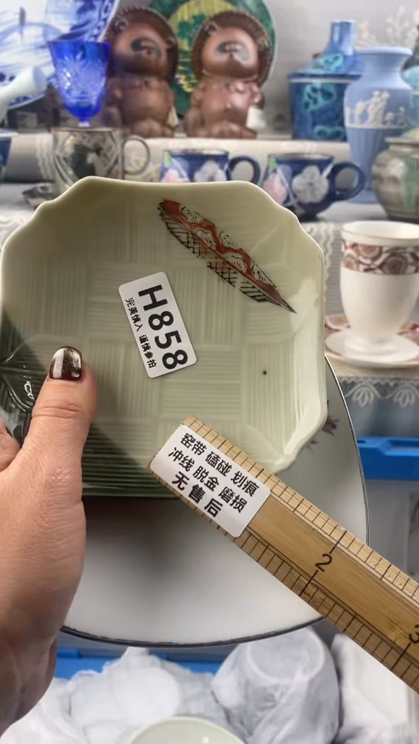 【闪购商品】858