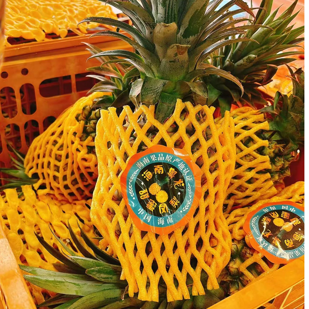 海南凤梨2500g左右金钻凤梨黑龙江省