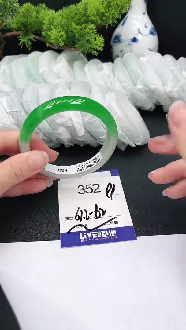 未镶嵌手镯翡翠352