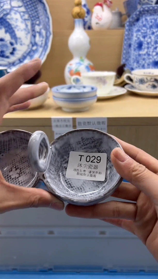 瓷片           T029