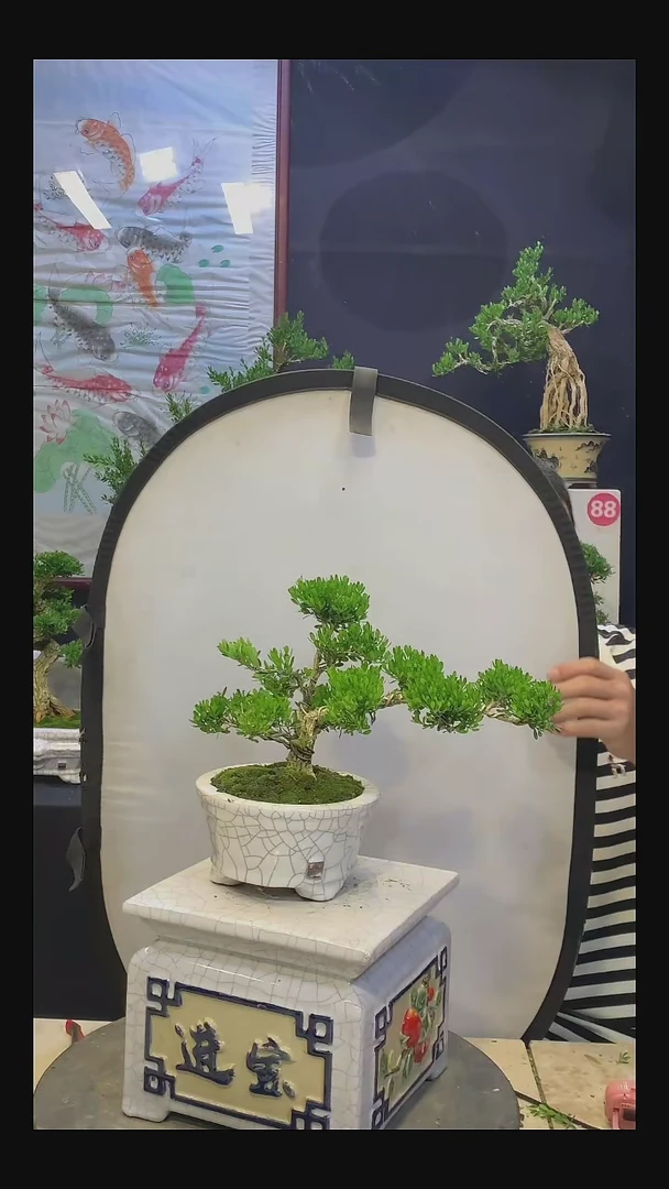 完全开放旧**再0000000