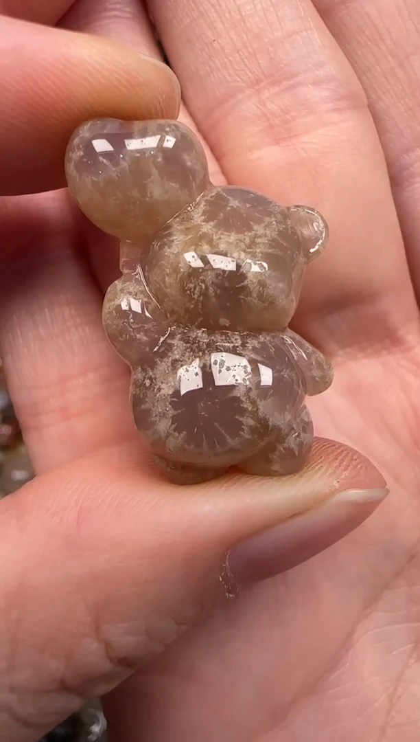 硅化珊瑚（珊瑚玉）未镶嵌颈饰730