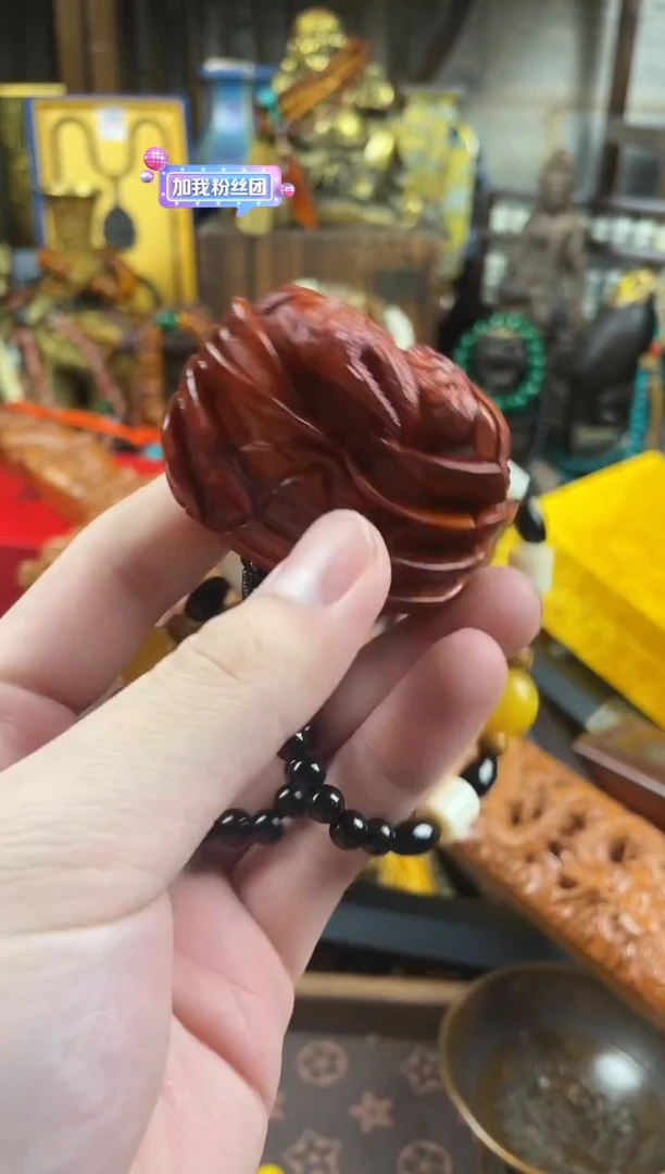 木世缘夕玉湾直播精选推荐