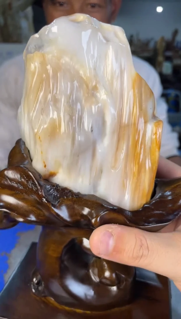 未镶嵌摆件硅化玉11