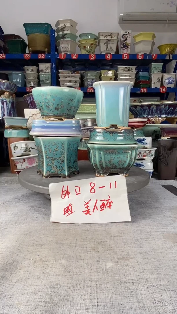 201804六只美人醉花盆