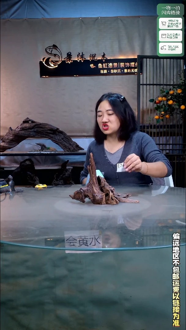 景沐沉木E747 25-12-20