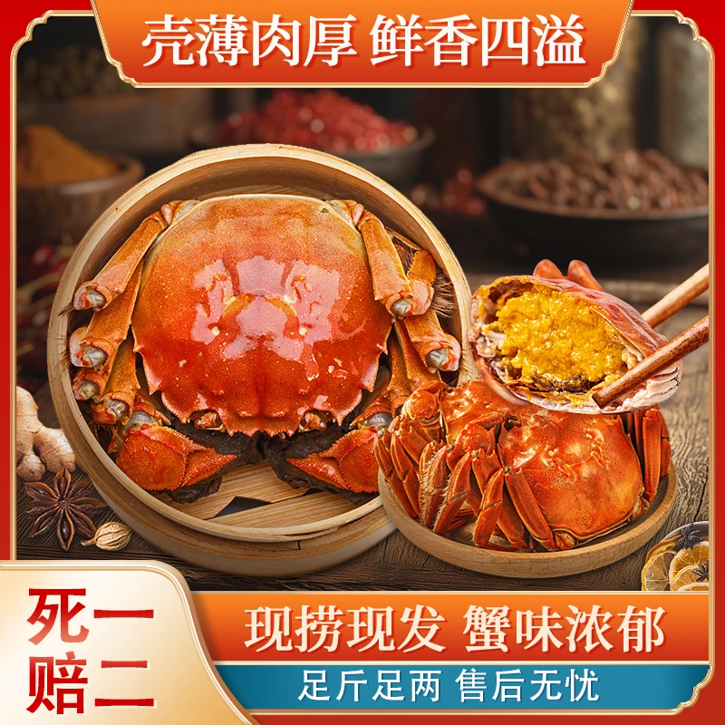 【精品活蟹】3.1~2.8两全母蟹8-10只大闸蟹中秋送礼顺丰京东冷链