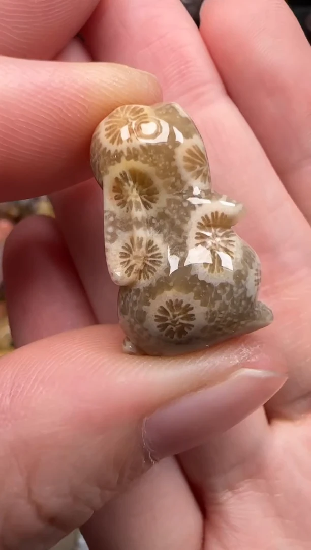 硅化珊瑚（珊瑚玉）未镶嵌颈饰112