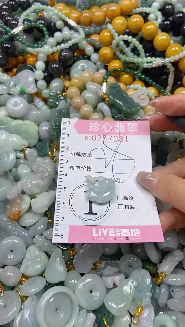 翡翠未镶嵌颈饰闪购0257081