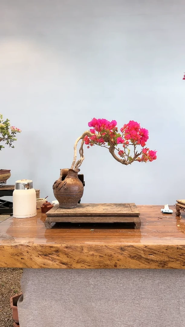 【闪购商品】aa929