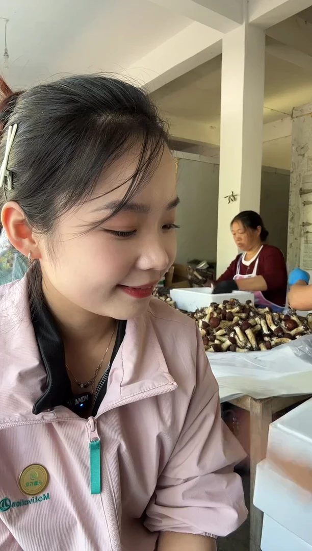 赤松茸中国大陆两斤装