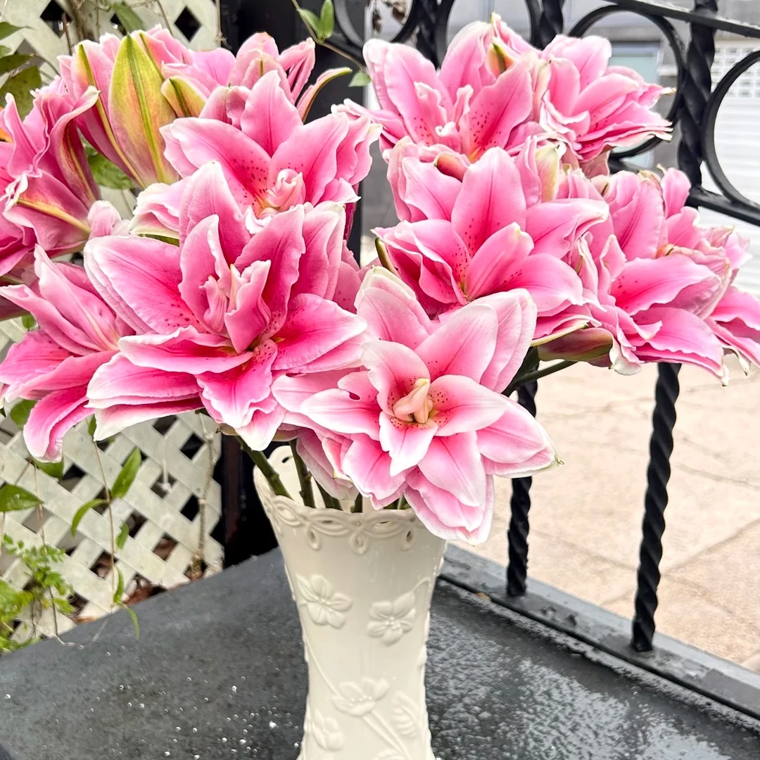 家庭瓶插花重瓣百合5支