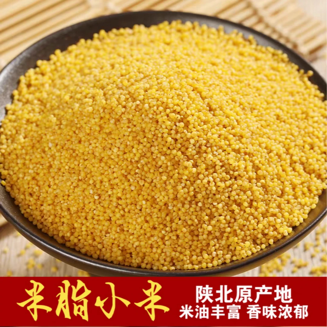 【新日期】陕西特产 米脂黄小米 延安油小米 新米 五谷杂粮