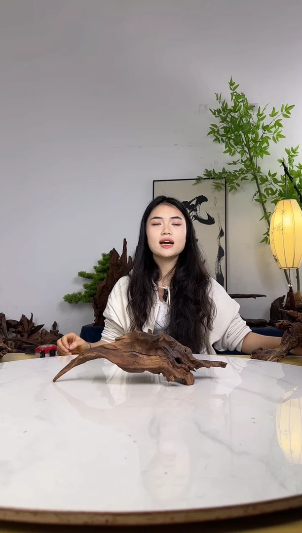 会**猪拍沉木定向链接编号88