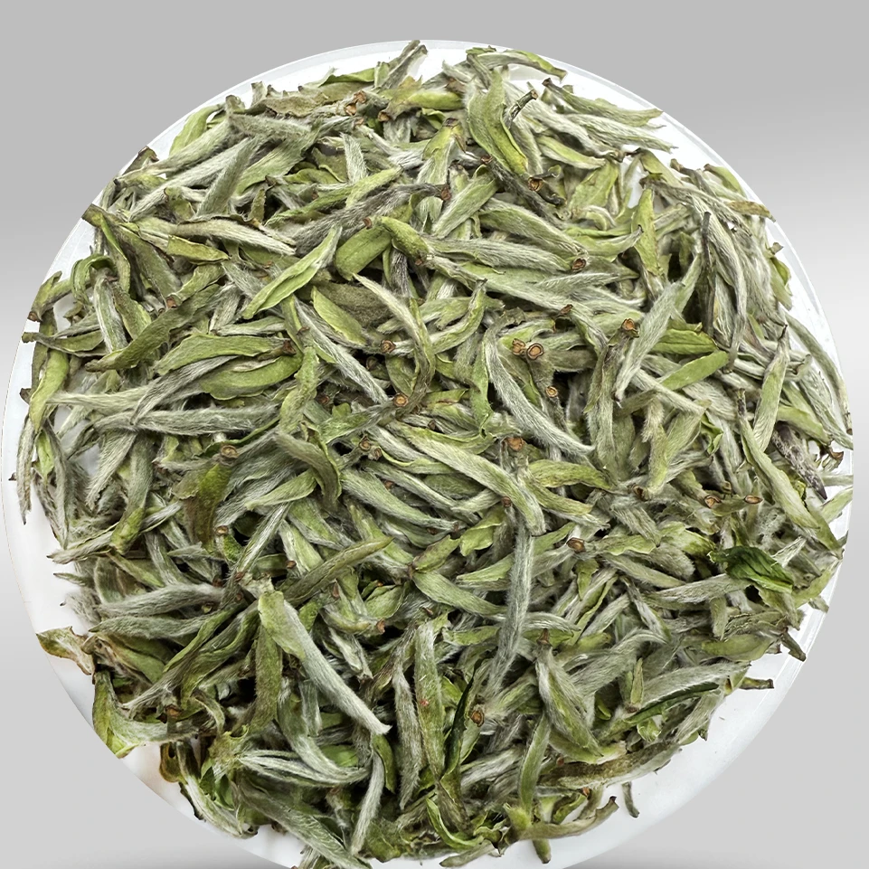 2024年 · 荒野白毫银针500g罐装