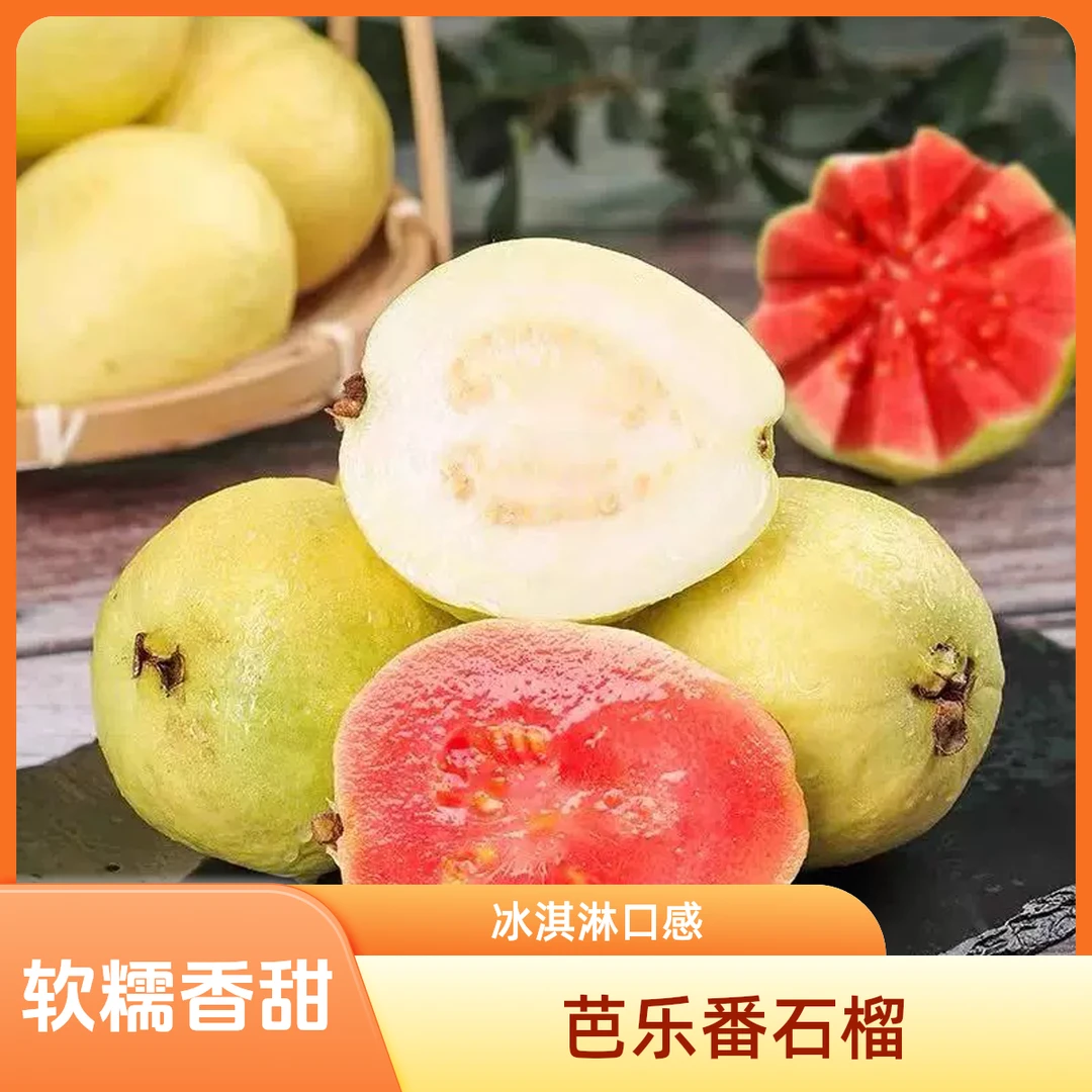 【新发地】福建当季树熟芭乐 番石榴软糯白心红心芭乐5斤装