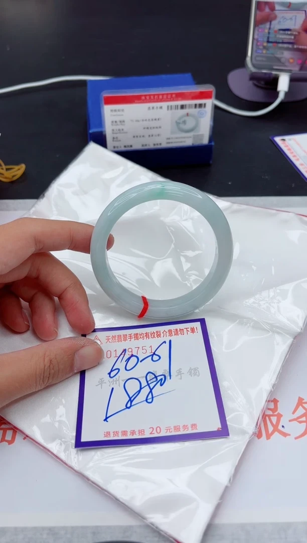 未镶嵌手镯翡翠11111