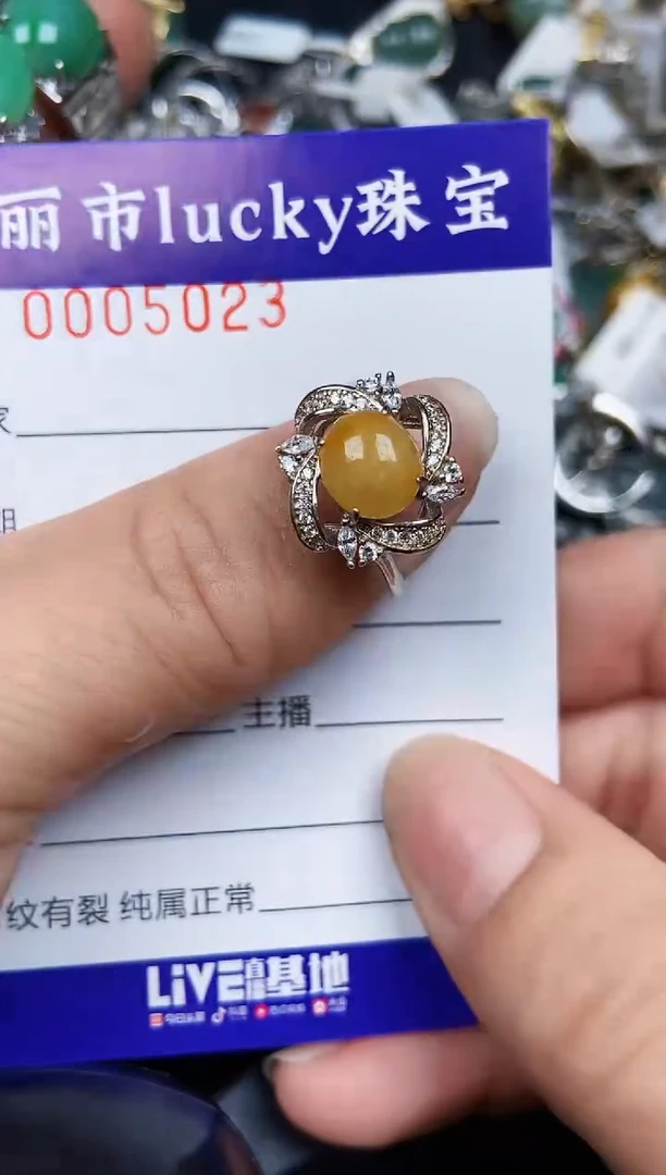 翡翠银S925镶嵌颈饰5023