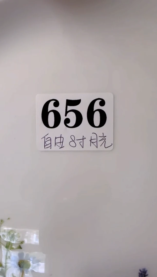 盘子瓷*************