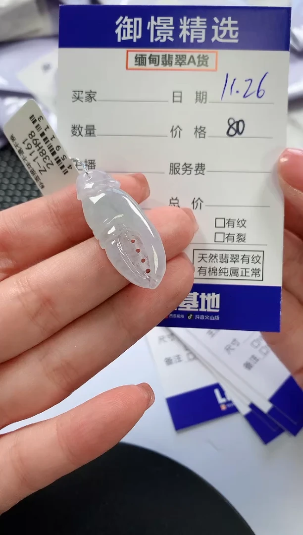 颈饰未镶嵌翡翠F**G2