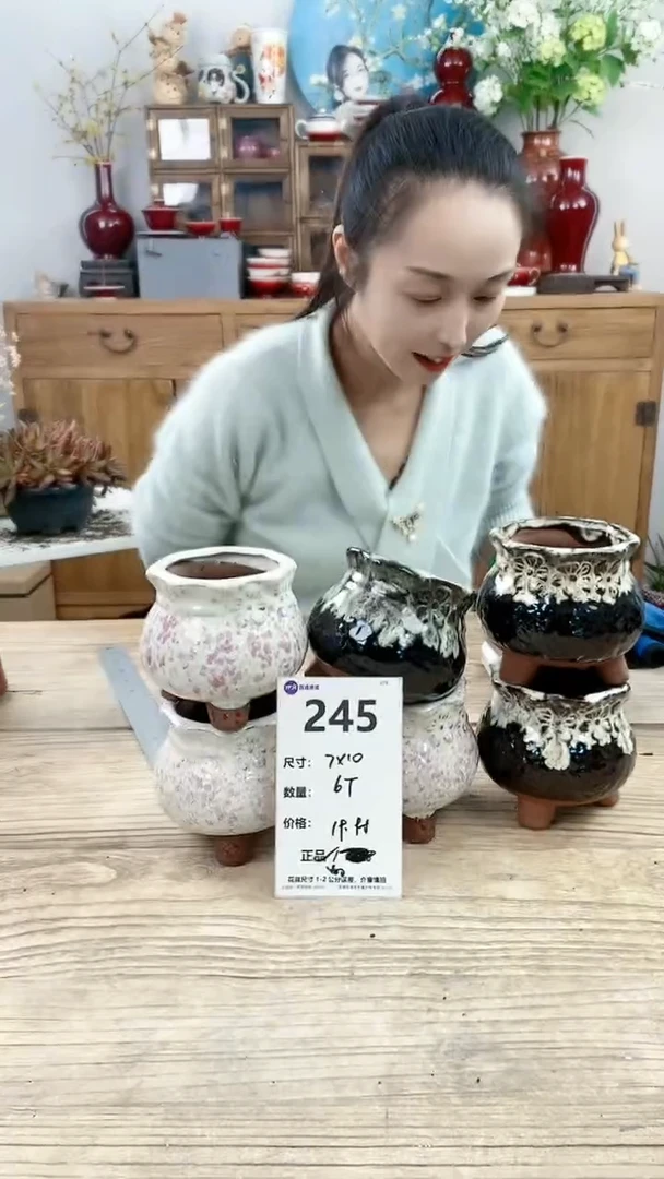 【闪购商品】红陶245