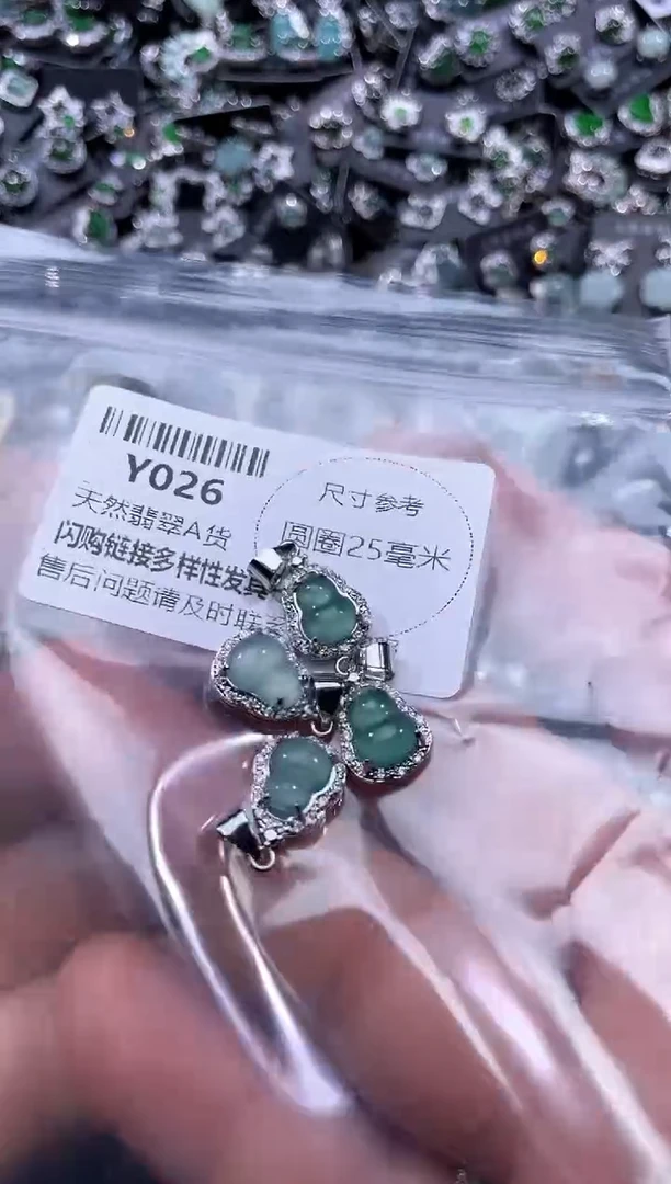 【闪购商品】翡翠颈饰未镶嵌Y026多样性发其一