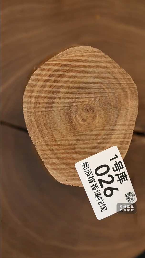 檀香木其他横财441克-1号026