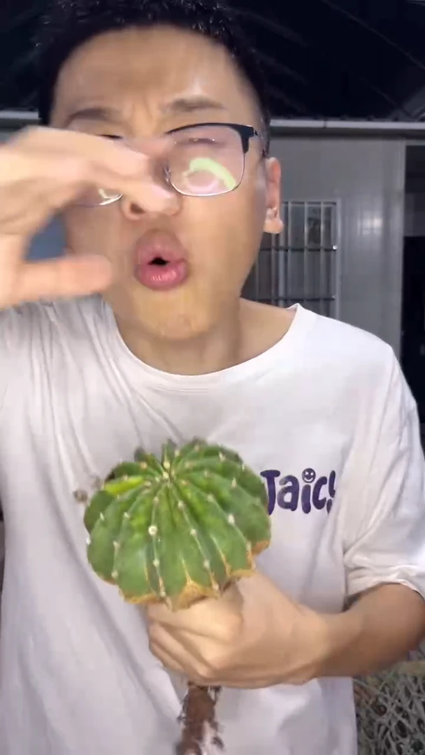 世界图锦【实生根】