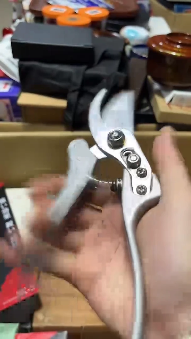 瓷片88888888888888888888888