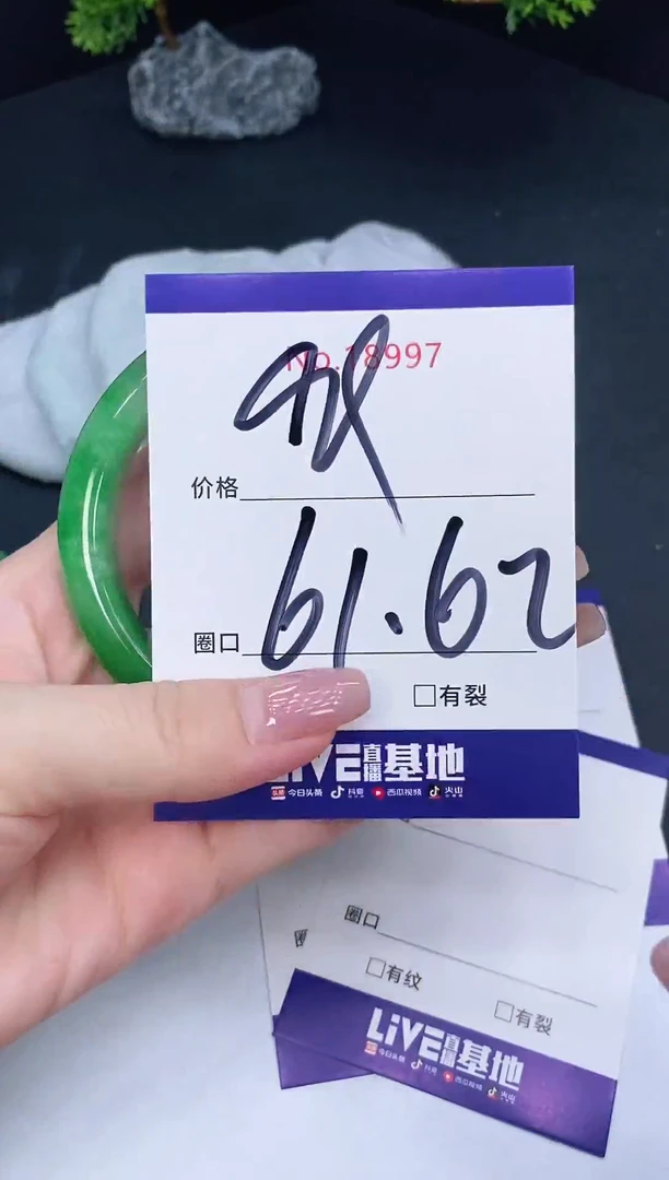 未镶嵌手镯翡翠18997