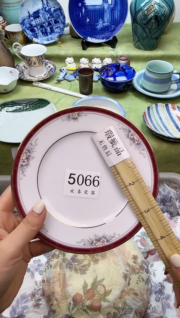 瓷片凝           5066