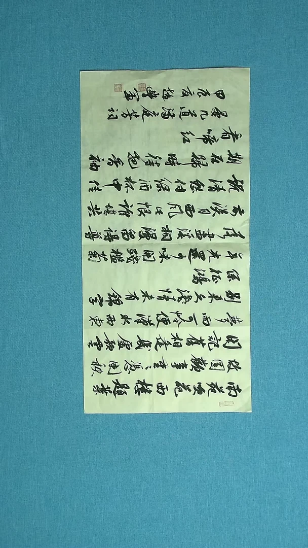 【闪购商品】书法248 河南赵丰军中书协69*34