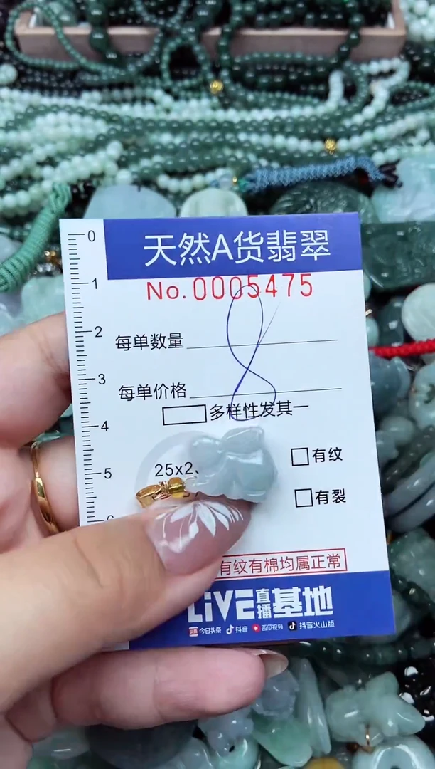 颈饰未镶嵌翡翠天然A货 支持复检