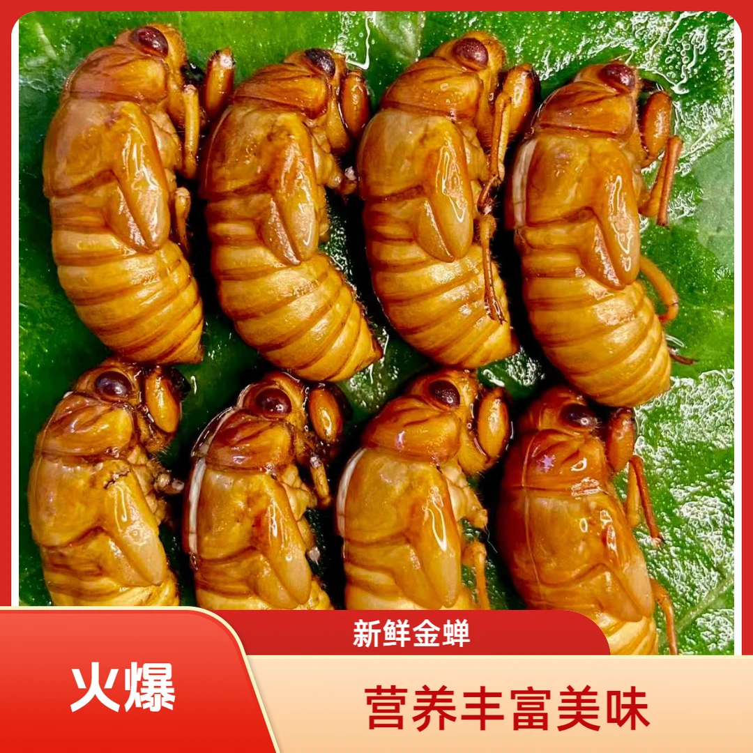 {农场新品}25年杜仲金禅 白禅 知了1猴 爬叉 顺丰冷链包邮次日达