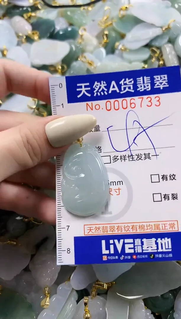 颈饰未镶嵌翡翠天然A货翡翠