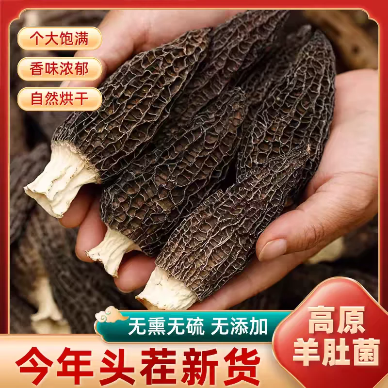 云南特产头茬新货羊肚菌干货煲汤食材云南羊肚菌高山种植羊肚菌