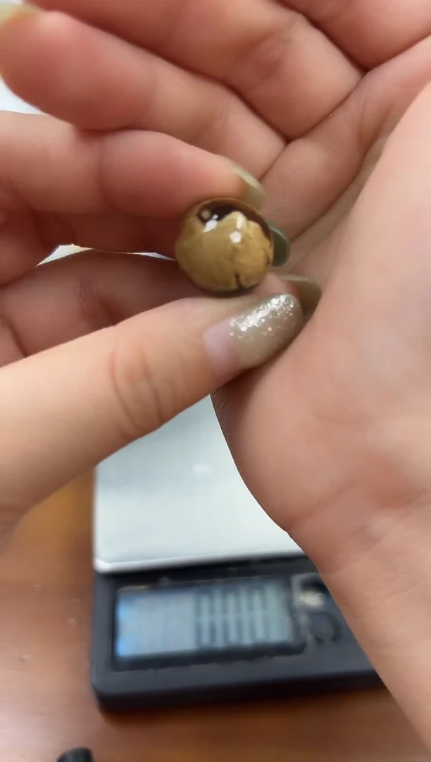未镶嵌蜜蜡裸石蜜蜡吊坠