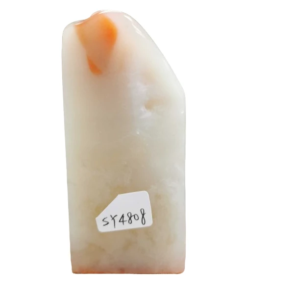 篆刻姚伟荣SY4808乐吾生