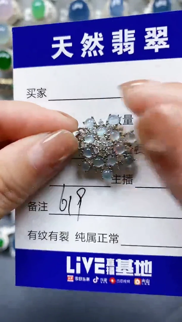 翡翠银S925镶嵌颈饰0619