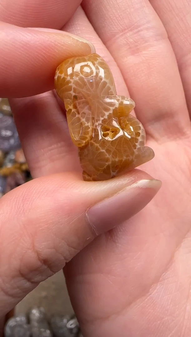 硅化珊瑚（珊瑚玉）未镶嵌颈饰115