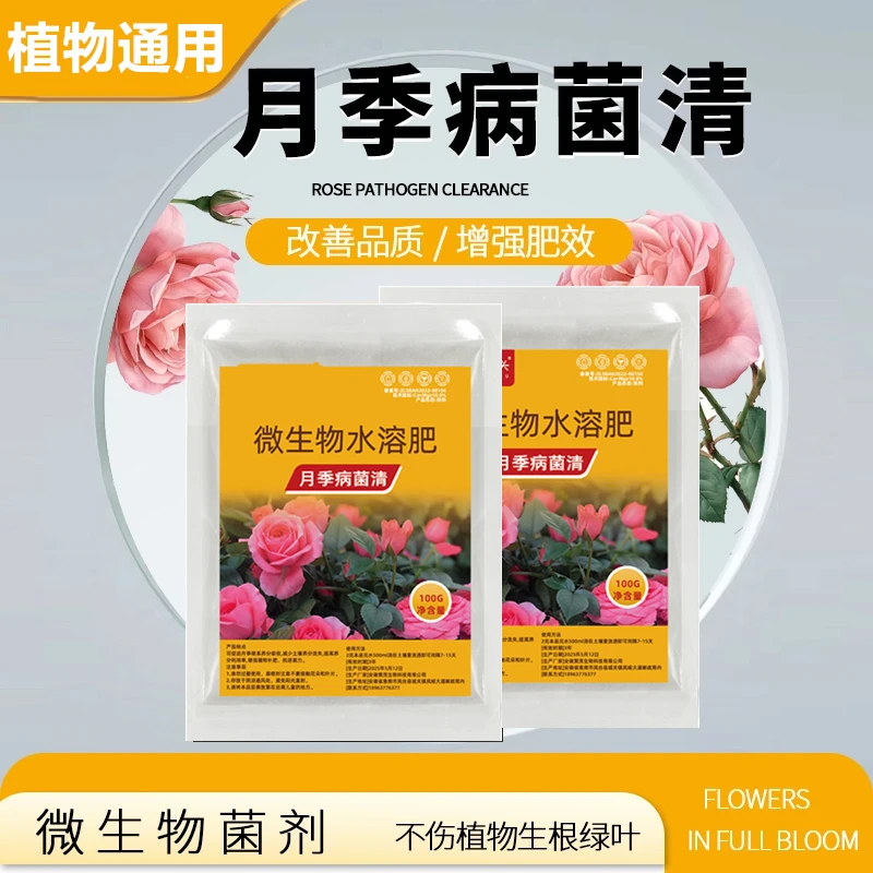 月季病菌清黑斑白粉黄叶家庭园艺月季玫瑰通用肥