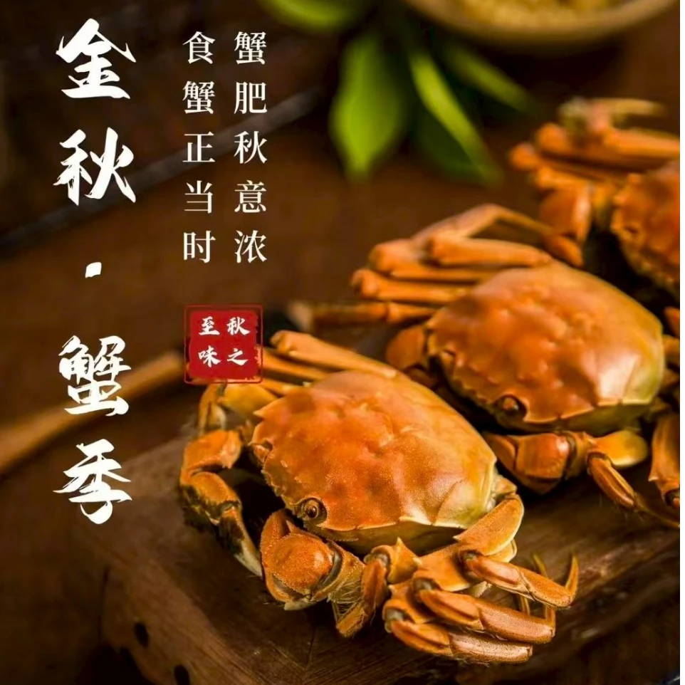 临沧灜尚 新鲜稻田蟹 2.5-3.0两以上 公母搭配500g