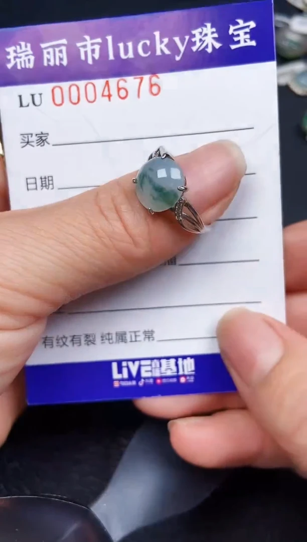 翡翠银S925镶嵌颈饰4676