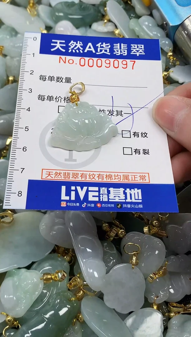 颈饰未镶嵌翡翠纯天然a货翡翠
